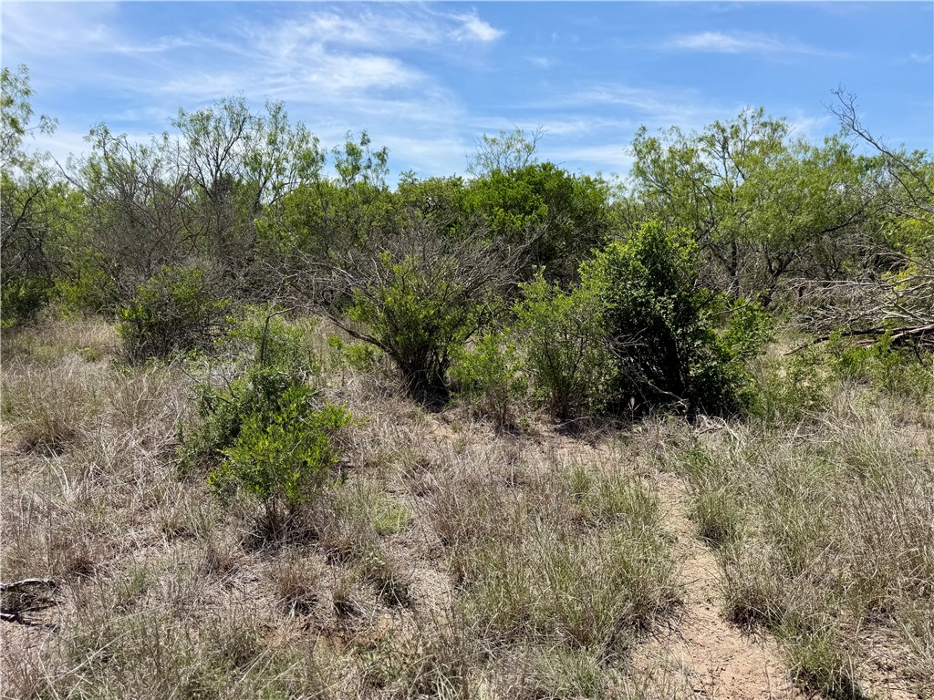100 Cr 147 George West TX 78022