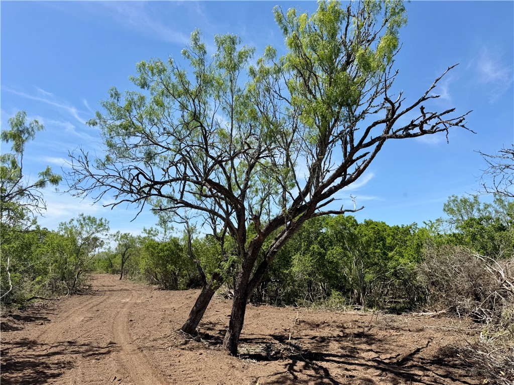 100 Cr 147 George West TX 78022