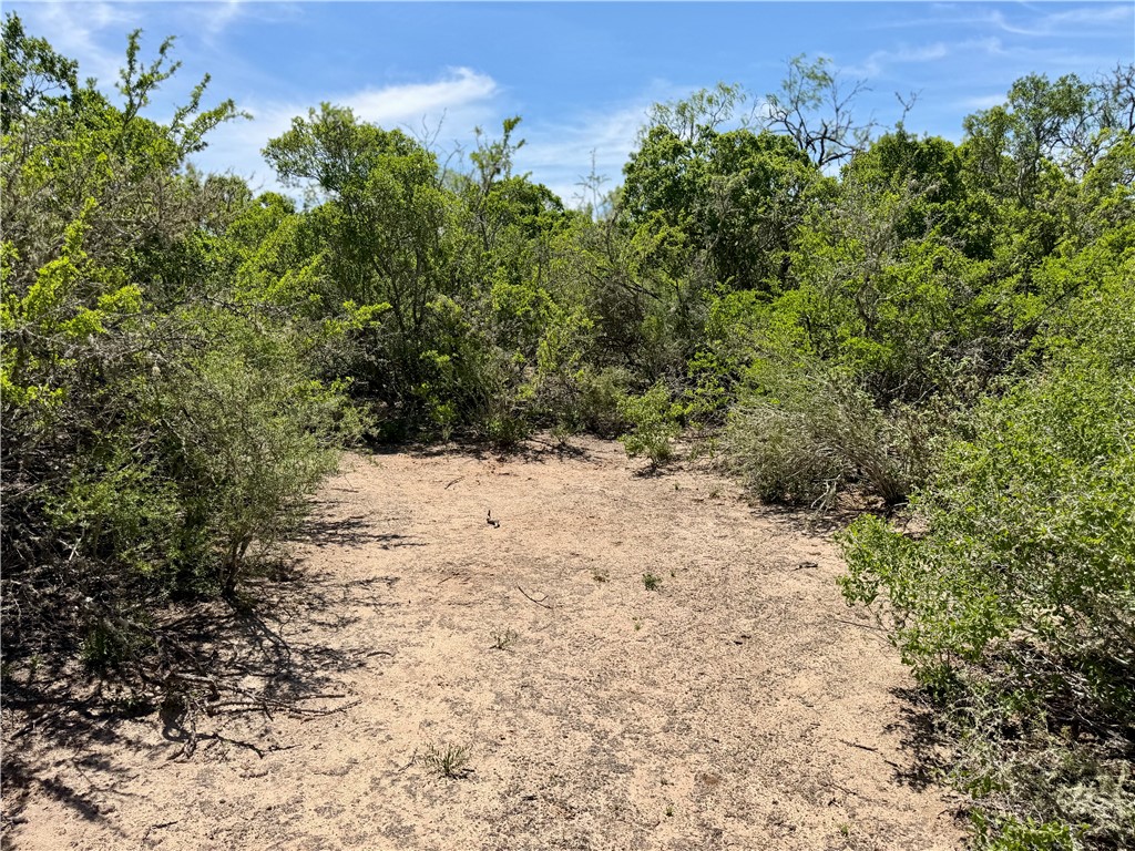 100 Cr 147 George West TX 78022