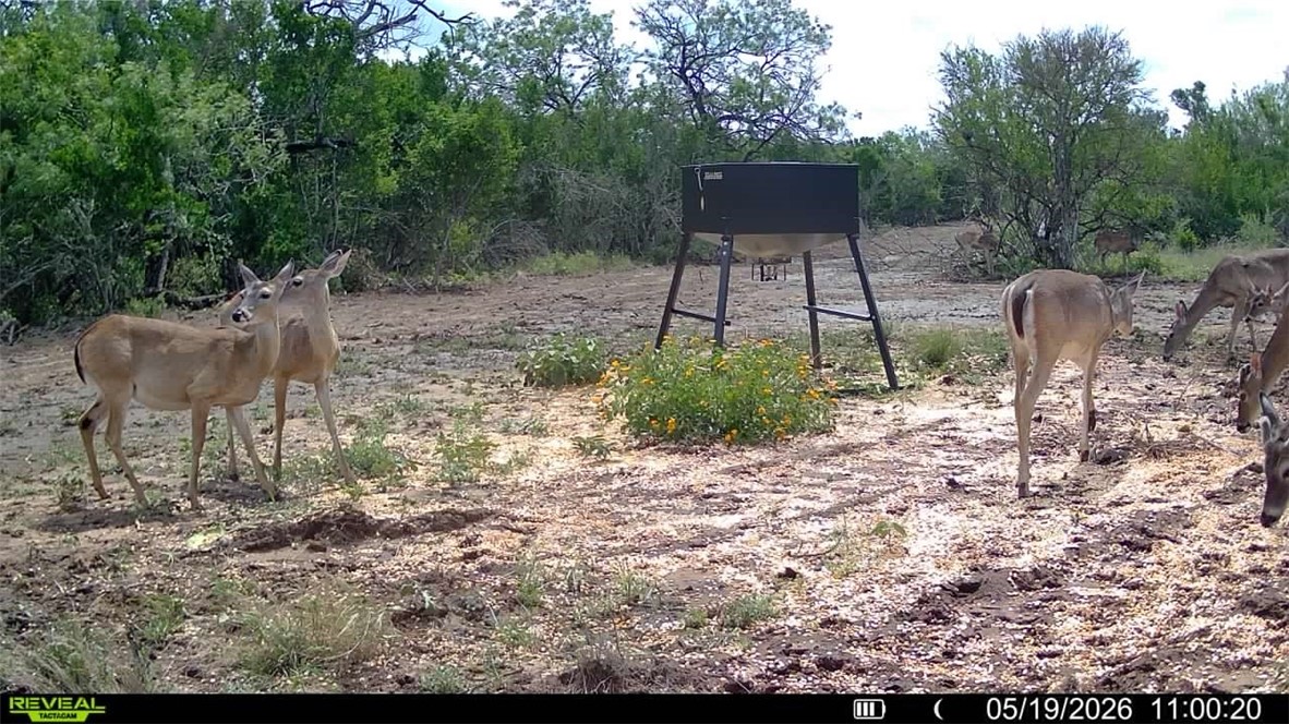 100 Cr 147 George West TX 78022