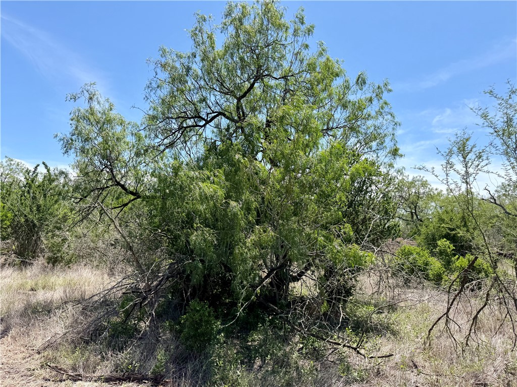 100 Cr 147 George West TX 78022