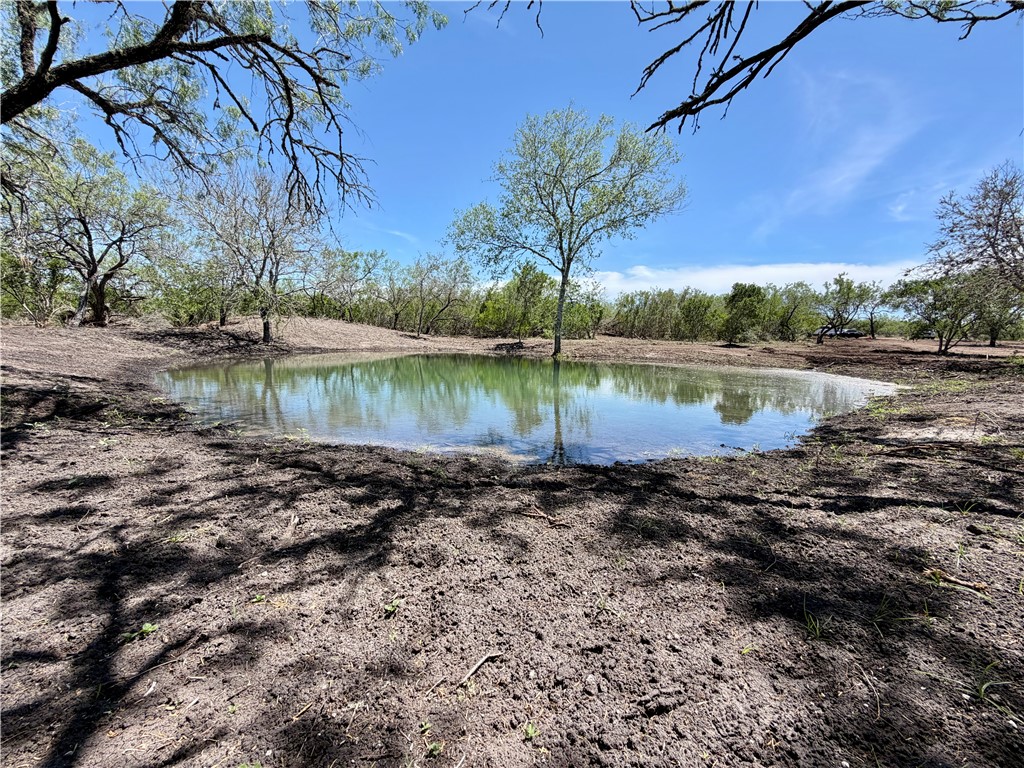 100 Cr 147 George West TX 78022