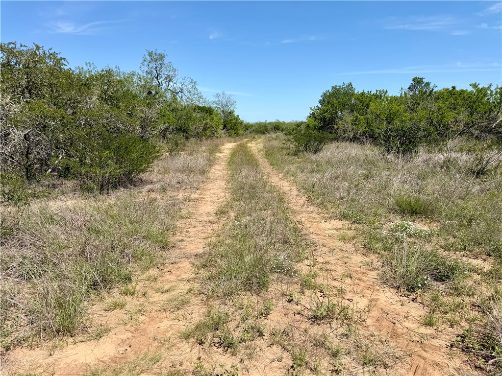 100 Cr 147 George West TX 78022