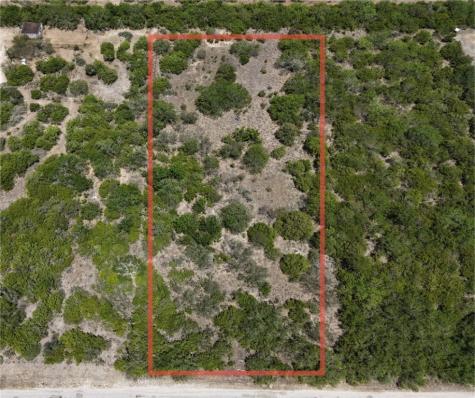 134 County Road 3032 Orange Grove TX 78372