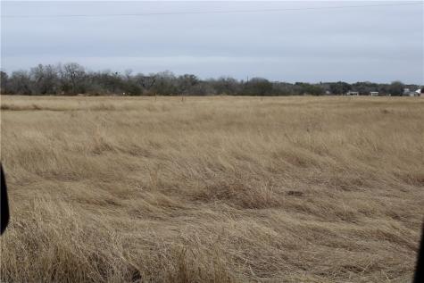 0000 Lamar Mathis TX 78368