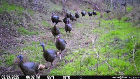 00 King Lane Beeville TX 78102