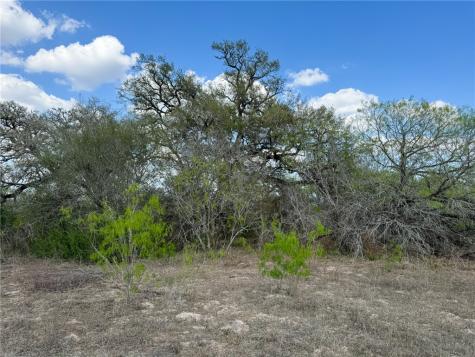 00 King Lane Beeville TX 78102