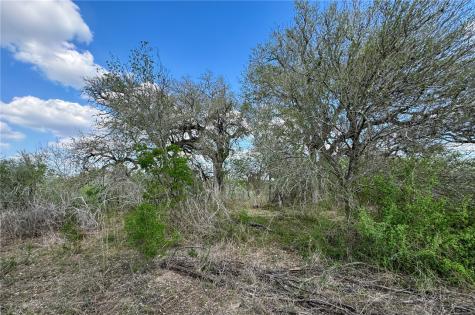00 King Lane Beeville TX 78102
