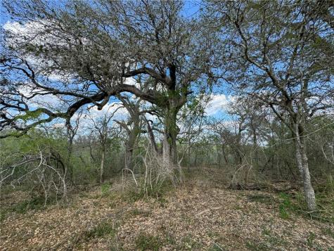 00 King Lane Beeville TX 78102
