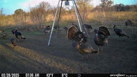00 King Lane Beeville TX 78102