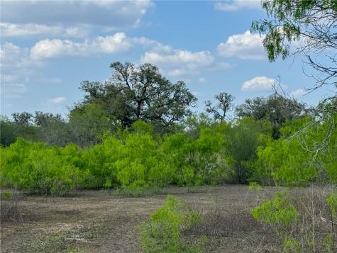 00 King Lane Beeville TX 78102