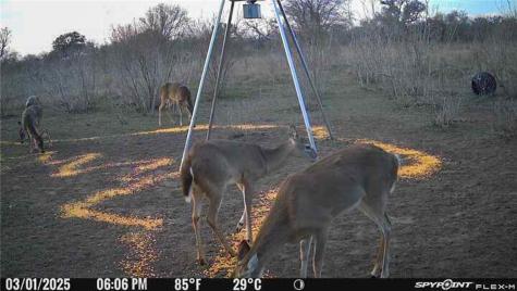 00 King Lane Beeville TX 78102