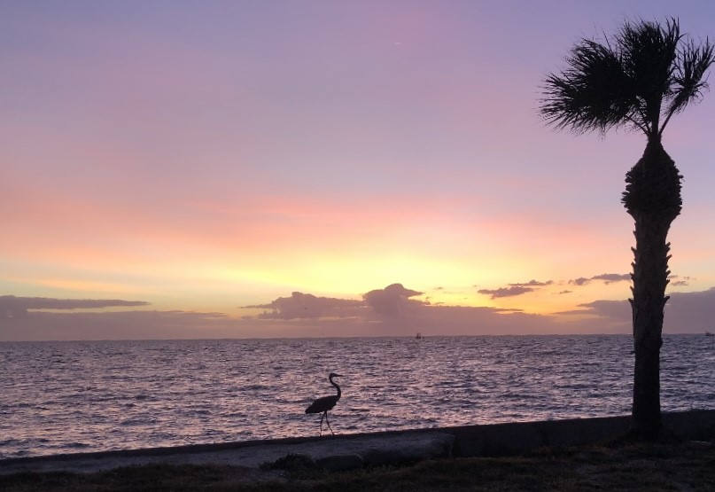 10 Riviera Drive Drive Ka Unit #1 Rockport TX 78382