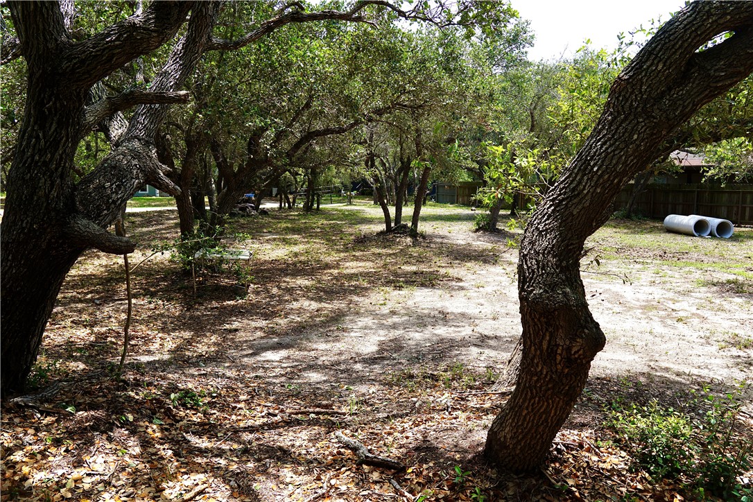 1121 Egret Rockport TX 78382