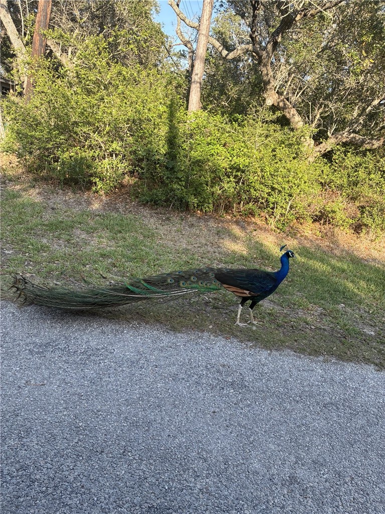1121 Egret Rockport TX 78382