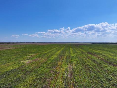 Tbd Fm 53 Odem TX 78370