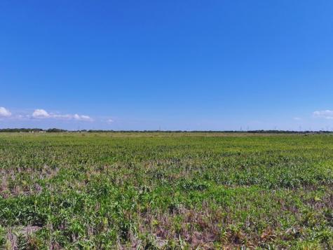 Tbd Fm 53 Odem TX 78370