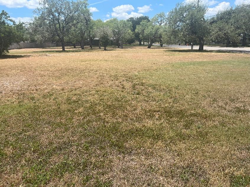 N/a Houston George West TX 78022