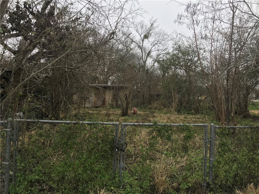 1116 Lucero Street Alice TX 78332