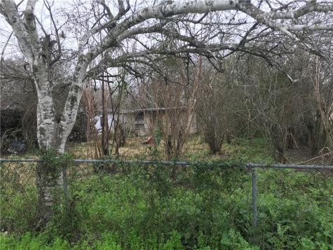 1116 Lucero Street Alice TX 78332