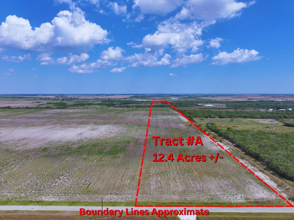 Tbd County Rd 1070 S Kingsville TX 78363