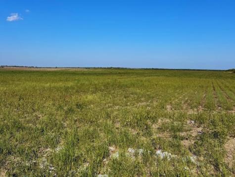 Tbd County Rd 1070 S Kingsville TX 78363