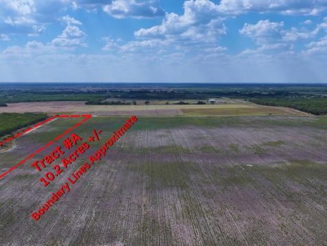 Tbd County Rd 1070 S Kingsville TX 78363