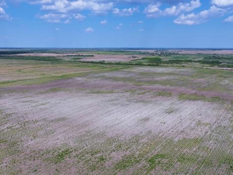 Tbd County Rd 1070 S Kingsville TX 78363