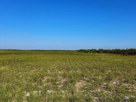 Tbd County Rd 1070 S Kingsville TX 78363