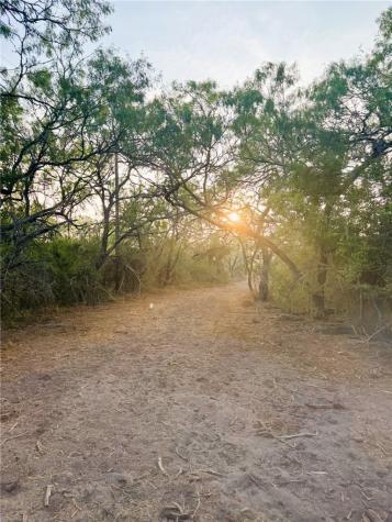 0 County Road 104 San Diego TX 78334