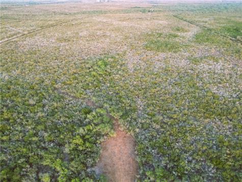 0 County Road 104 San Diego TX 78334