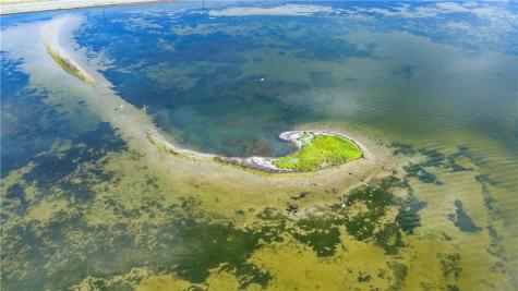 2002 Laguna Shores Corpus Christi TX 78418