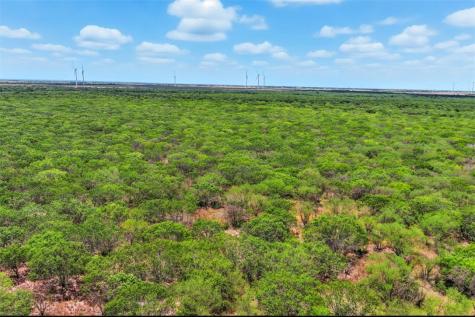 21316 County Road 798 Mathis TX 78389