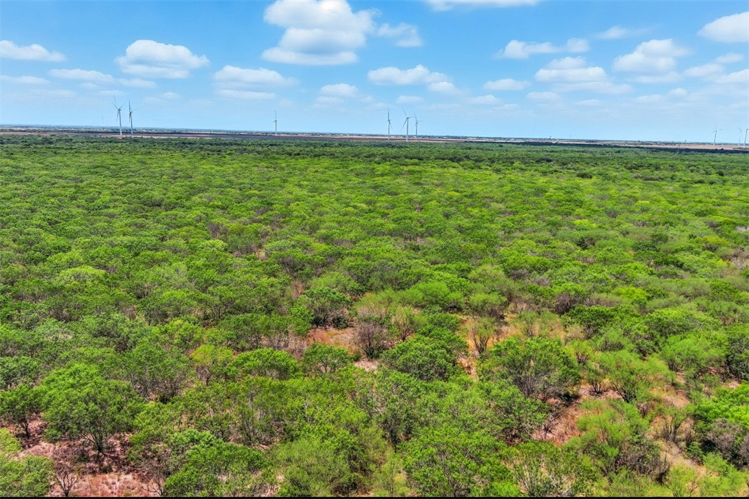 21316 County Road 798 Mathis TX 78389