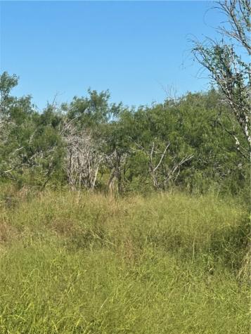21316 County Road 798 Mathis TX 78389