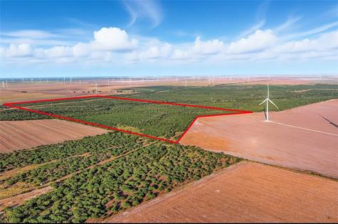 21316 County Road 798 Mathis TX 78389
