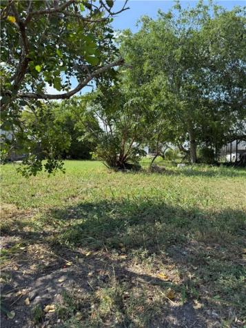 541 Van Cleve Drive Corpus Christi TX 78408