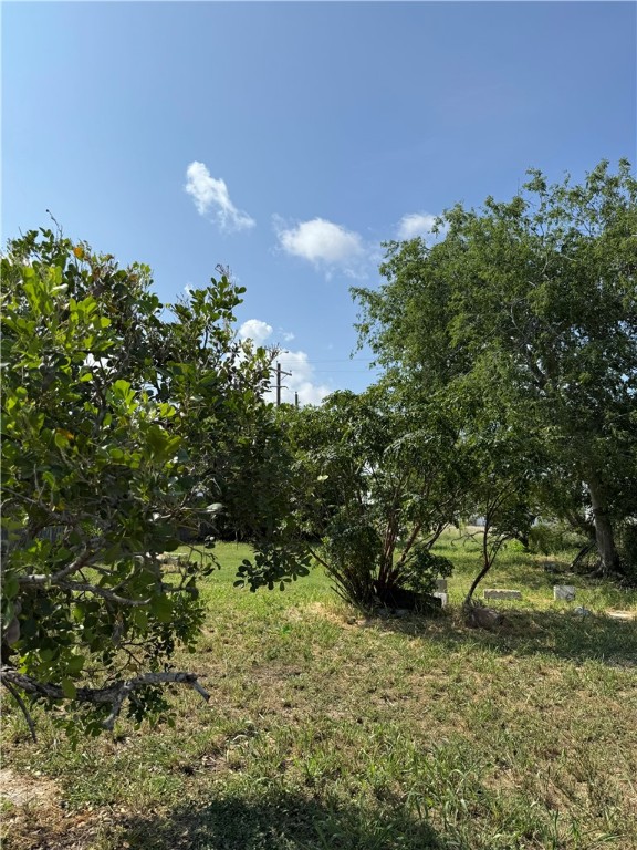 541 Van Cleve Drive Corpus Christi TX 78408