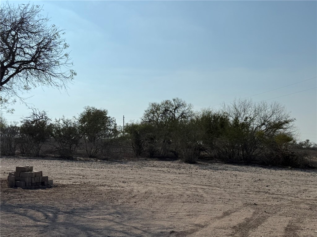 1331 Highway 281 S George West TX 78022