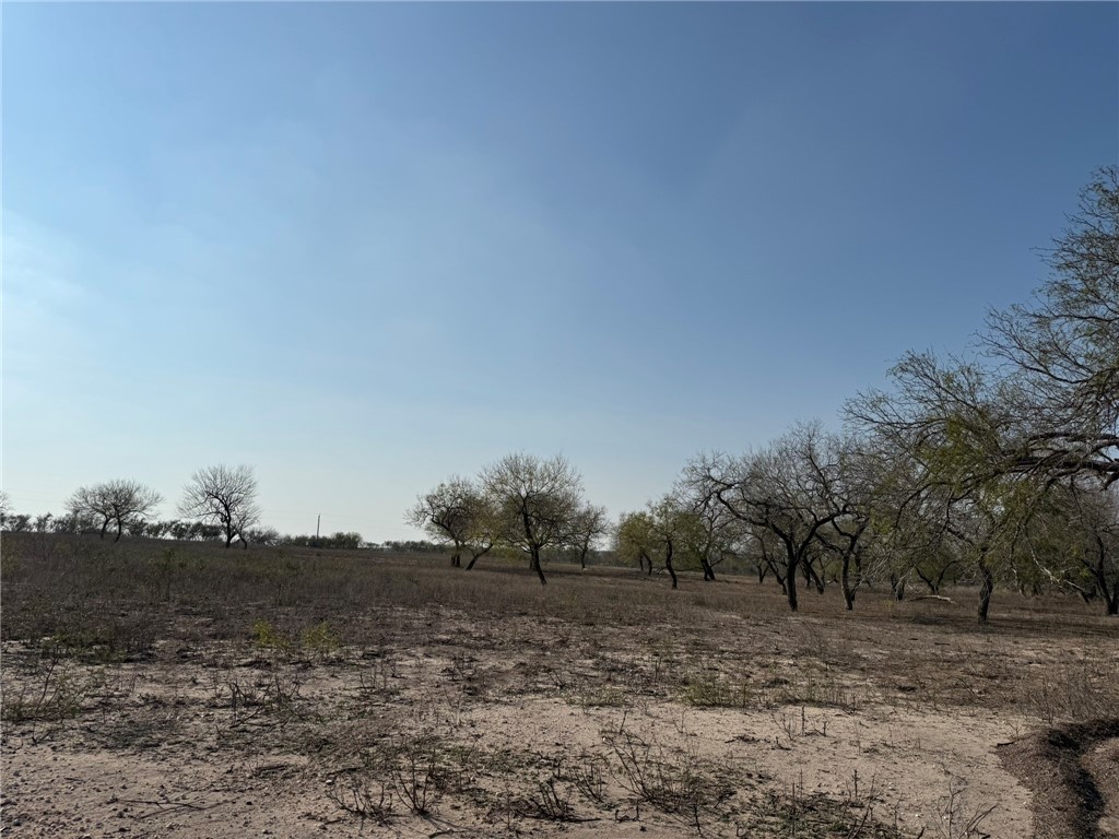 1331 Highway 281 S George West TX 78022