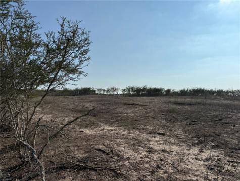 1331 Highway 281 S George West TX 78022