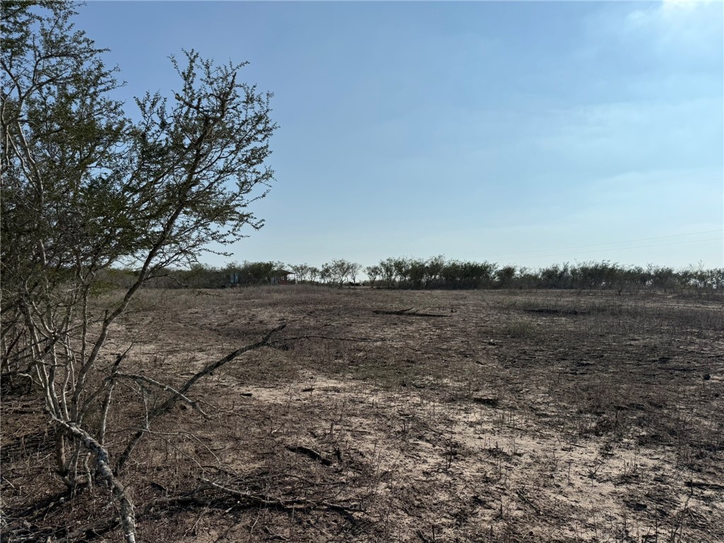 1331 Highway 281 S George West TX 78022