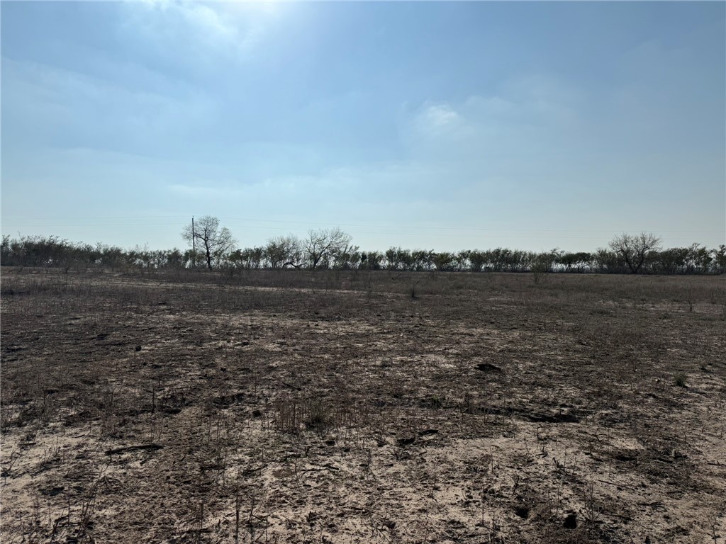 1331 Highway 281 S George West TX 78022
