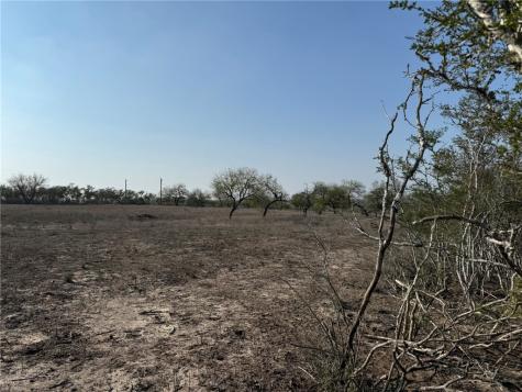 1331 Highway 281 S George West TX 78022