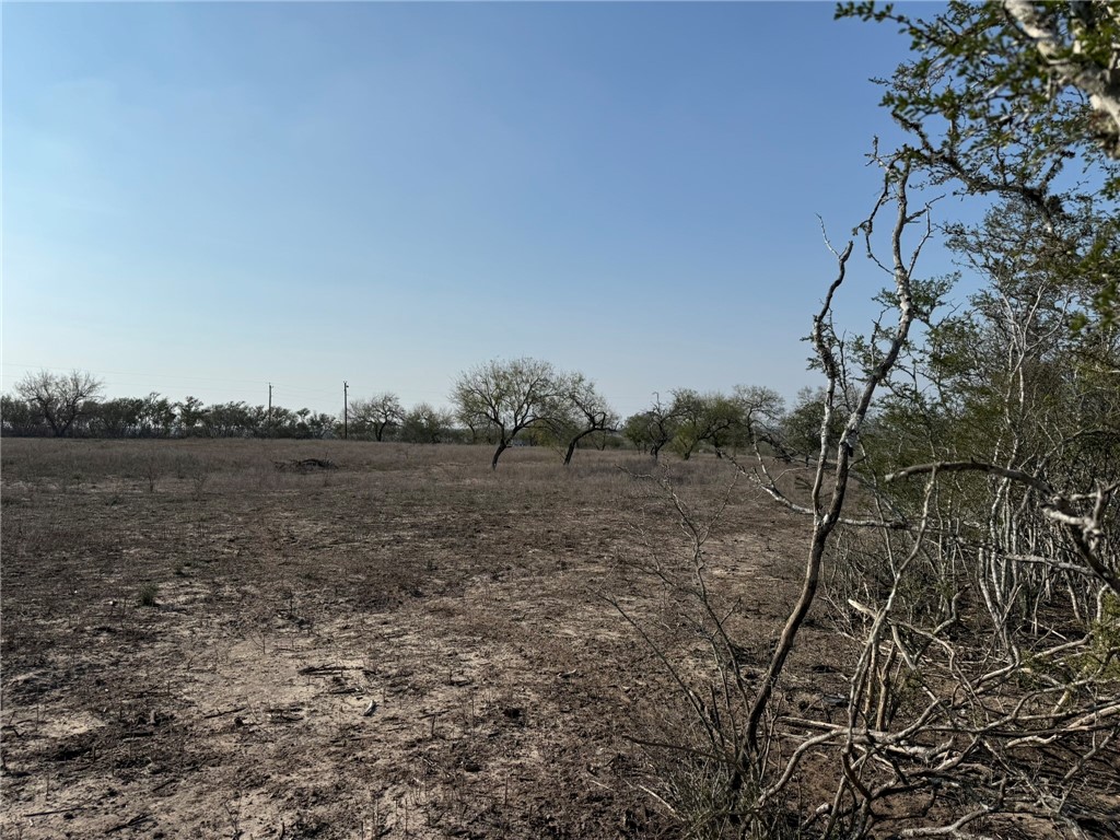 1331 Highway 281 S George West TX 78022