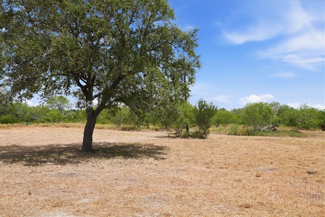 1507 Middle Road George West TX 78022