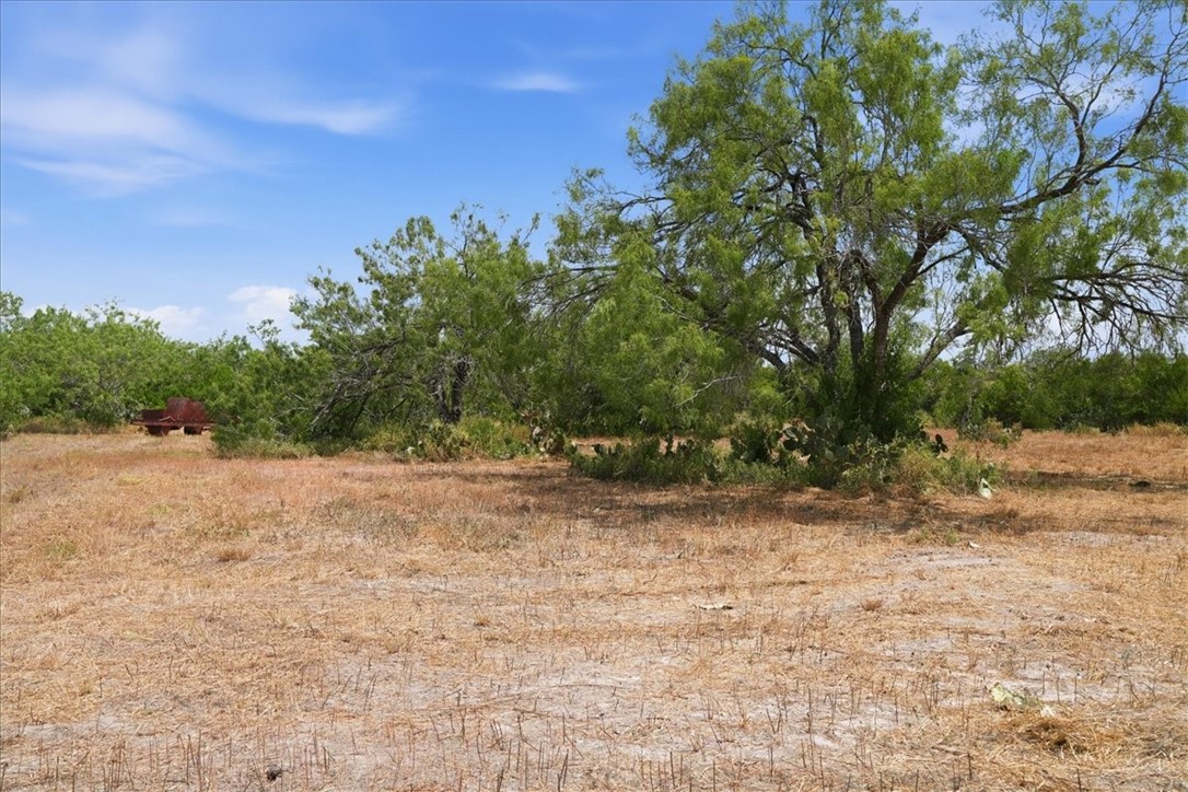 1507 Middle Road George West TX 78022