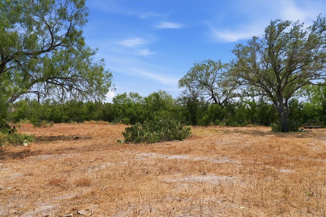 1507 Middle Road George West TX 78022