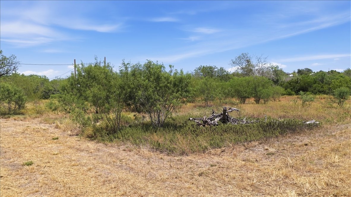 1507 Middle Road George West TX 78022