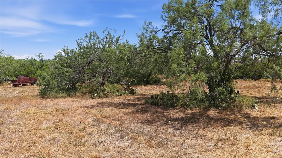 1507 Middle Road George West TX 78022